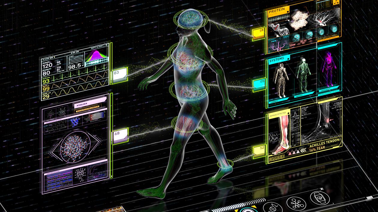 Futuristic holographic display of human anatomy.
