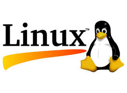 Linux logo with Tux the penguin.